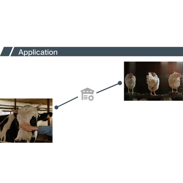 Animal Feed Additive Powder Supply High Purity Nicotinamide Vitamin B3 for Feed Grade