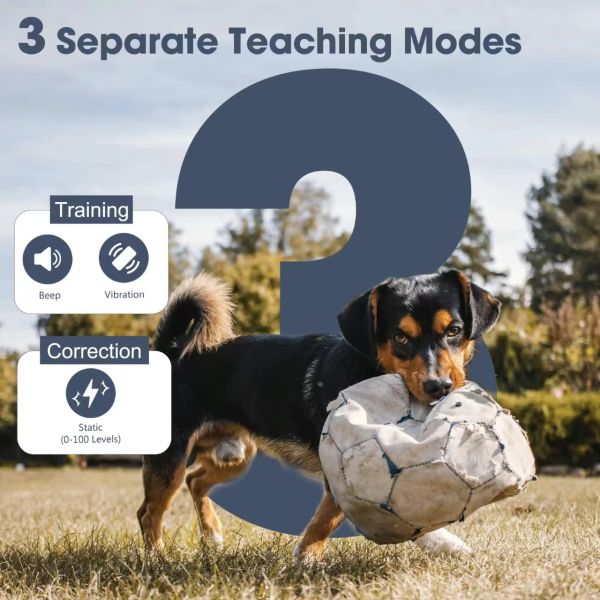 Eco-Friendly Remote Dog Training Collar Fashionable Waterproof Electric Guard Shock Stylish Nylon Plastic Pet Training Supplies