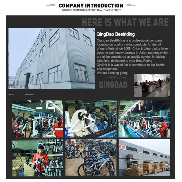 Легкий рамок из алюминиевого сплава для взрослых 14 дюймовый углеродный складный велосипед