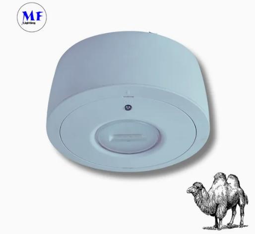 Panneau vers le bas lumière LED panne d'évacuation d'urgence panneau de sortie de lumière IP65 batterie de secours école publique rechargeable hôpital blanc