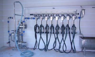 8 Cows Milk System Pipeline Milking Parlor for Milk Sucking with Washing System