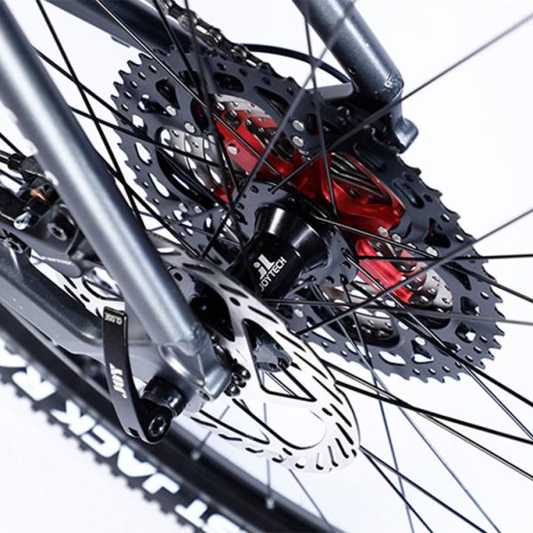Custom Carbon Fiber Frame Mountain Bike Bicycle with Ltwoo A12 12s Gear 26/27.5/29 inch