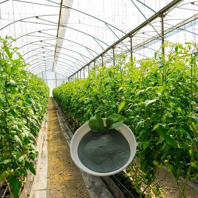 O ácido aminado Foliar orgânico do adubo Chelated o cobre dos micronutrientes