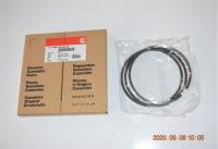 Direct Wholesale Great Standard Diesel Spare Parts 6CT Engine Piston Ring Set 3802429