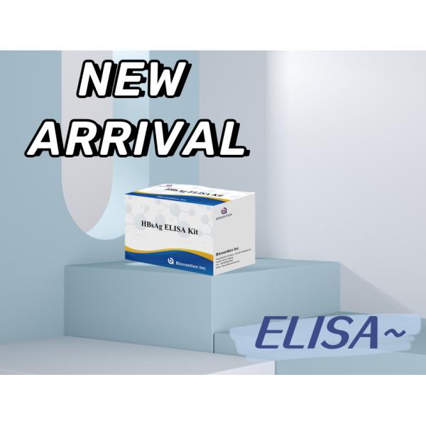 High Sensitivity HBsAg ELISA Test Kit with 2-3 Hours Assay Time and 18 Months Shelf Life for Hepatitis B Detection
