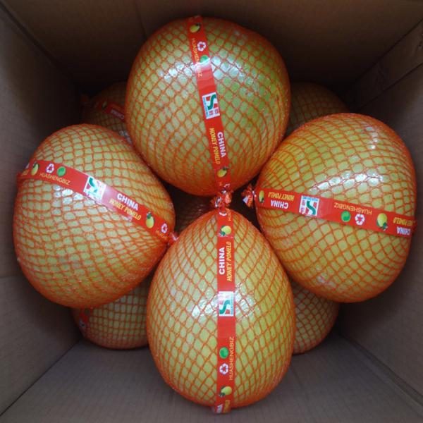 2020 Crop Fresh Honey Pomelo Fast Fresh Food For Lungs / Throat / Blood Circulation