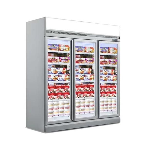 Fan Cooling Commercial Display Freezers for Displaying Beverages in Glass Door and 220V Voltage