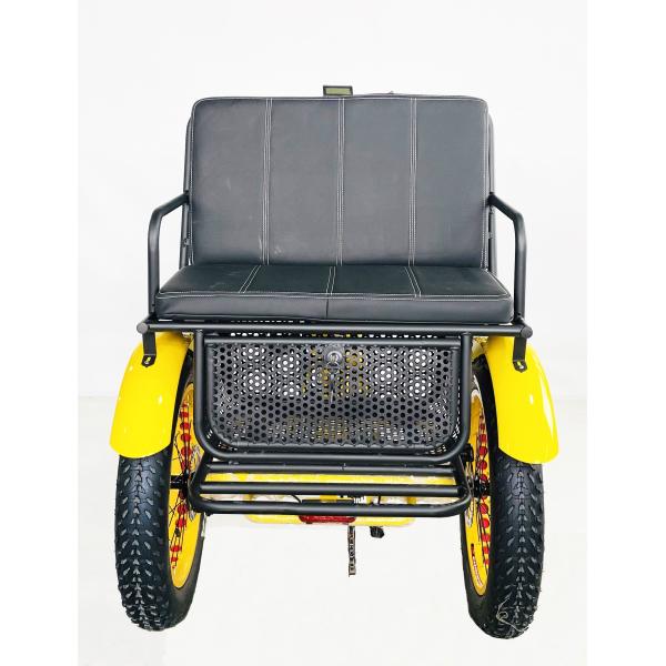 US Fat Tire Electric Passenger Tricycle with 1000W Bafang Motor and Aluminum Pedal