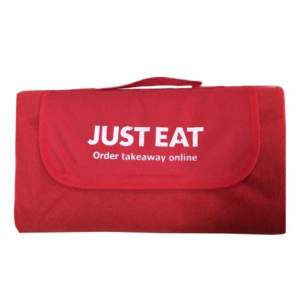 Waterproof Camping Outdoor Picnic Accessories Fleece Portable Picnic Blanket