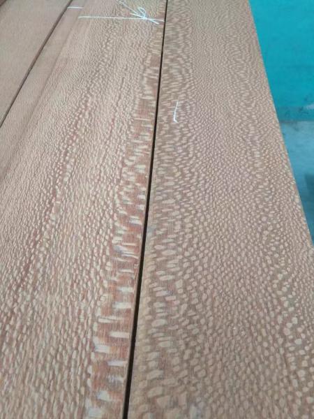 0.6mm Sliced Sapelli Sapele Pommele Natural Wood Veneer for Furniture Plywood Architectural Woodwork and Interior Decora