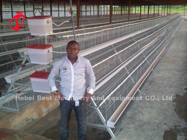 Наиболее популярный тип куриный слой батарейная клетка для продажи в Уганде 20000 птиц Звезда