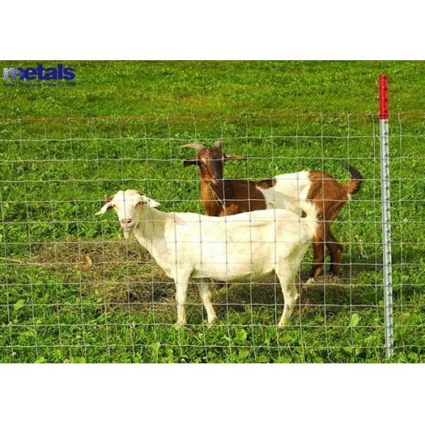 Heavy-Duty Galvanized & PVC Coated Steel Welded Wire Mesh Fence for Industrial and Security Perimeter Protection