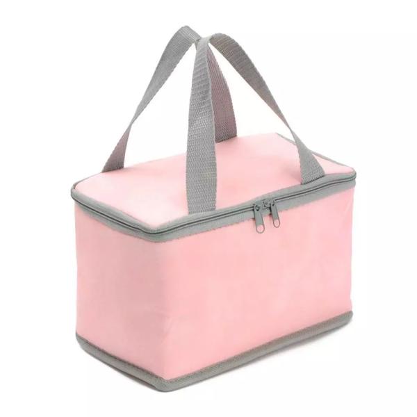 Pantone Insulated Cooler Bags Reusable With Aluminum Film