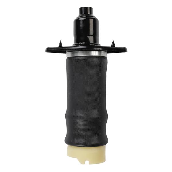 Задняя весна воздуха подвеса для левой стороны 4З7513031А Ауди А6 К5 задней