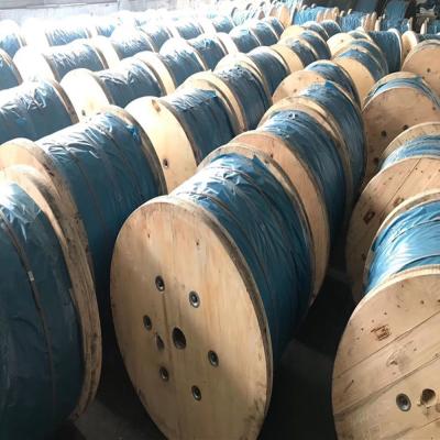 Heavy 5.0mm 1*2 Zinc Coated Steel Wire Strand