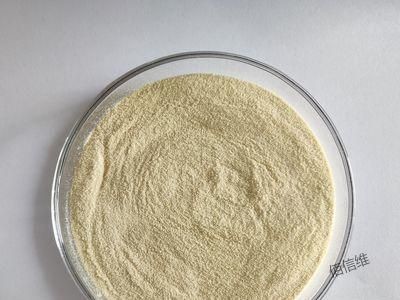 Протеазные энзимы для загорания Протеазные энзимы для промышленности Краткое вре