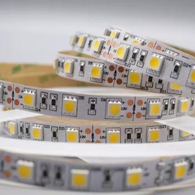 12w 12v 24v 10mm 60 Leds Rgb 5050 Smd Flexible Led Strip Light with and Multi Colors