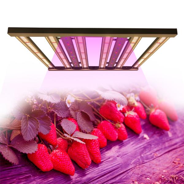 3x3 Dimmable Lm301b Lm301h LED Grow Light For Indoor Medicinal Plants