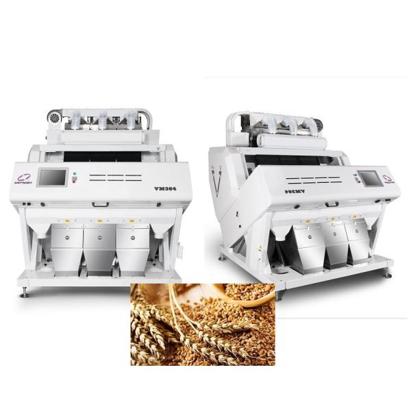 Trieuse à haute fréquence Anysort de couleur de blé de vanne électromagnétique