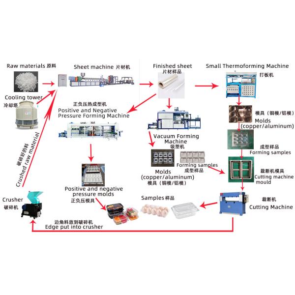 Новые термопластиковые вакуумные формовочные машины для пищевых продуктов