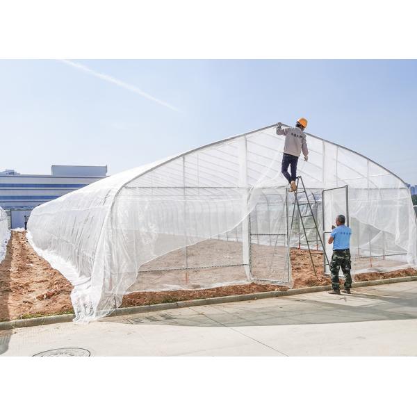 Advanced Clear Anti Drip Steel Frame Greenhouse Poly Tunnels For Gardens