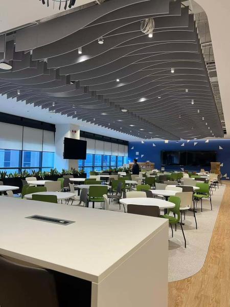 PET Felt Easy To Attach Ceiling Acoustic Panel Impact Resistant Customizable