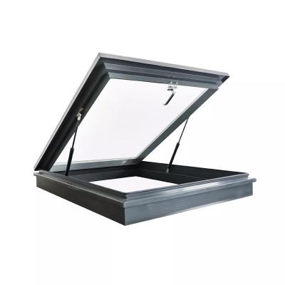 Customized Swing Open Style Skylight Roof Windows with Stainless Steel Screen Netting