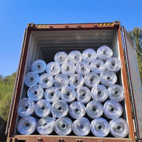 Direct Galvanized or Black 10 Gauge Coal Mine Welded Wire Mesh For Underground Mining