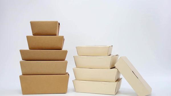 #2 Custom Printing Kraft Folded Takeout box Fast Food Packaging Paper Box Takeway Food Box