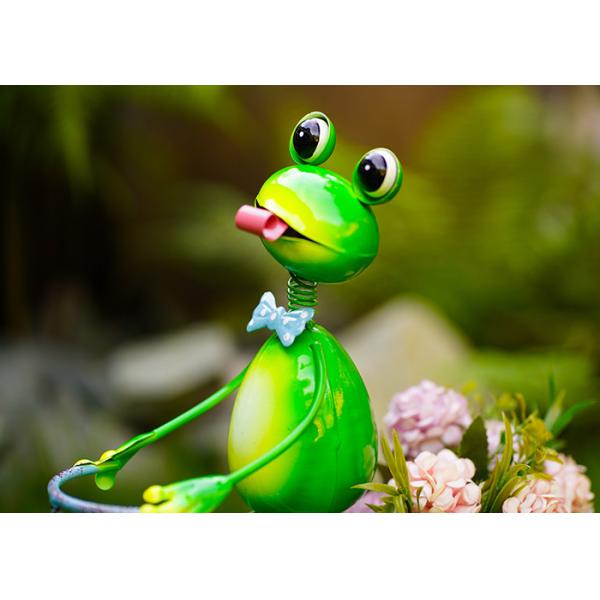 Цветочный горшок открытого сада внутреннего художественного оформления цветочного горшка велосипеда лягушки металла