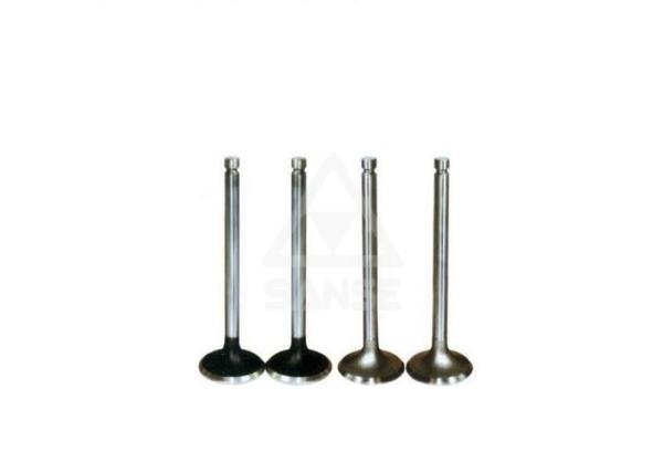 Mitsubishi Replacement Parts , 6D22 Intake And Exhaust Valves