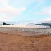 Caminhada de ventilação coordenada de 24x40m no kit de estufa Conservatório Hoophouse Freestanding Multispan Tunnel Greenhouse