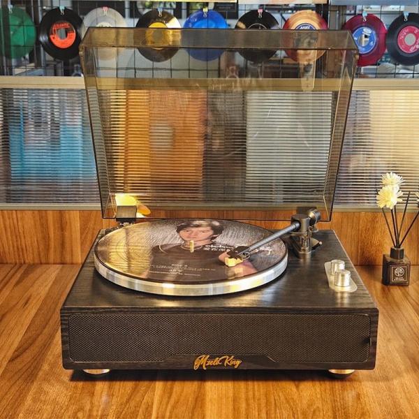 Vinyl Record Player Bluetooth Speaker Vintage Wooden Gramophone Bluetooth Speaker