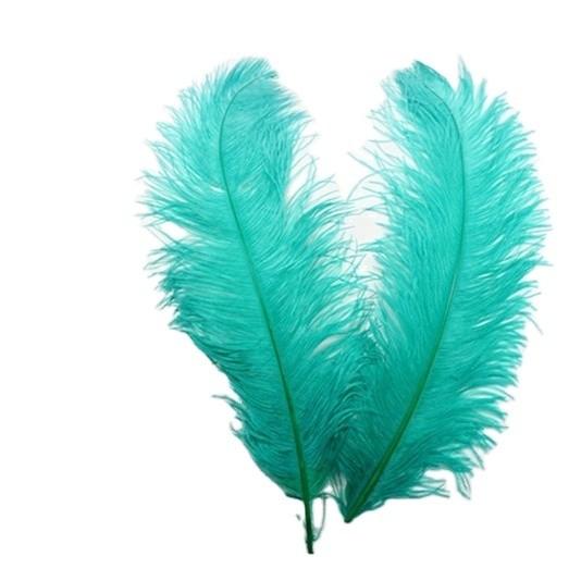 Plumes de penas de avestruz de 40-45cm para eventos