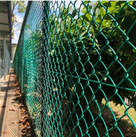 O verde galvanizou a cerca revestida plástica do elo de corrente de 6 calibres 10 pés