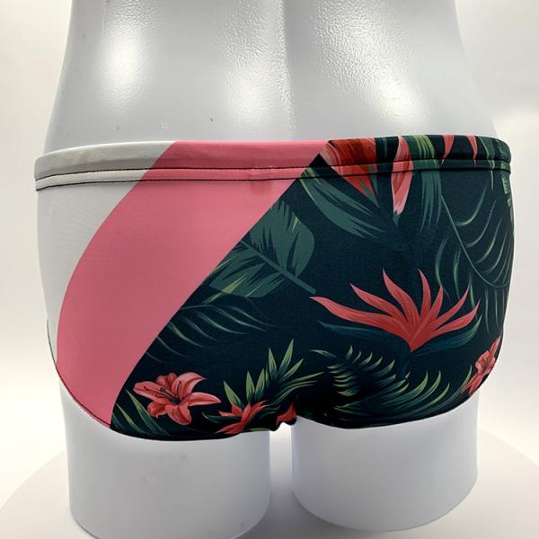 Dry Fit Lycra Stretch Mens Bikini Swimwear Underwear Briefs Silk Screen Printing