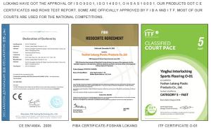 Guangdong Lokang Sports Technology Co., Ltd.