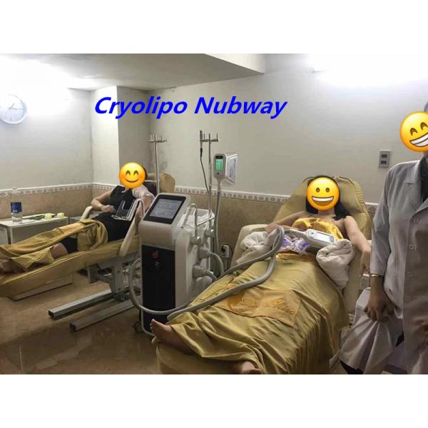2019 trending products 4 handles working simultaneously 10.4 inch fat freeze cryolipolysis machine
