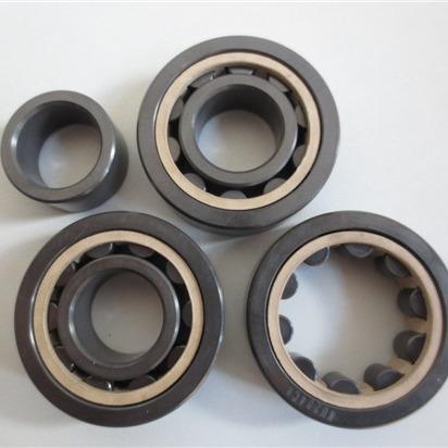 Ceramic Cylindrical Roller Bearings Single Row Si3N4 SSiC ZrO2