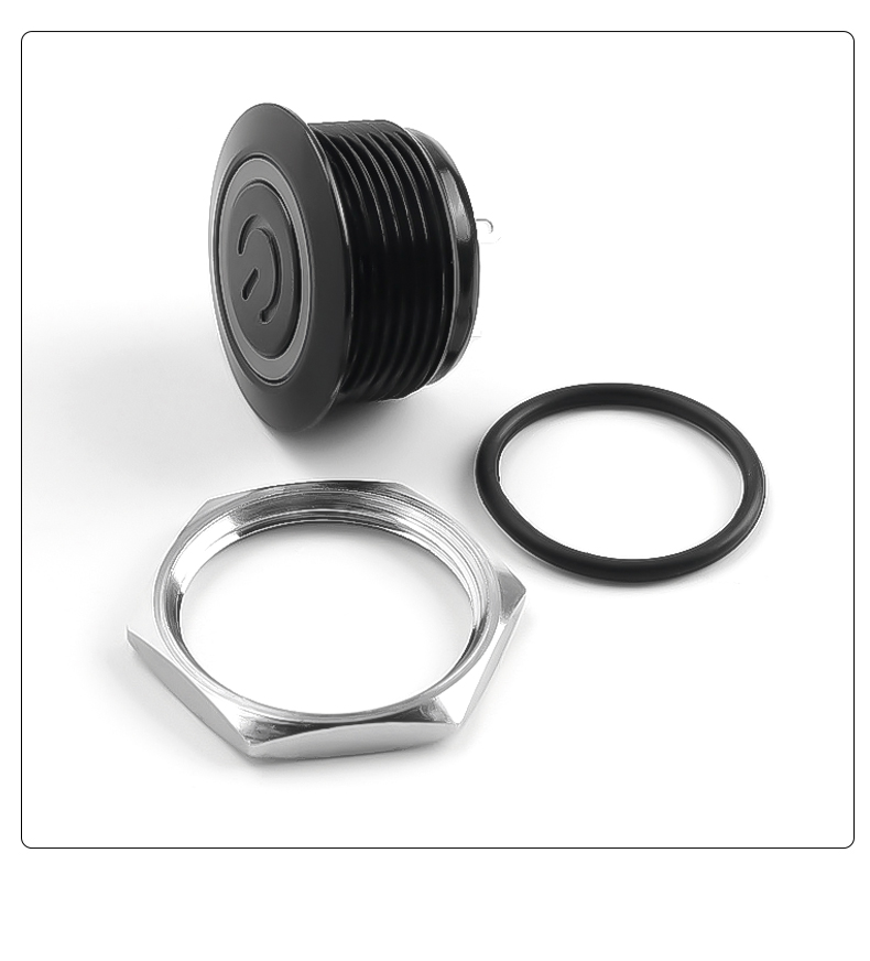 High Quality 19MM Oxidized Black  Metal Push Button Switch Self-Return 1NO with LED Momentary Reset