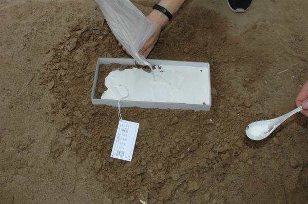 G035 BTSG-I Tridimensional footprint casting material kit