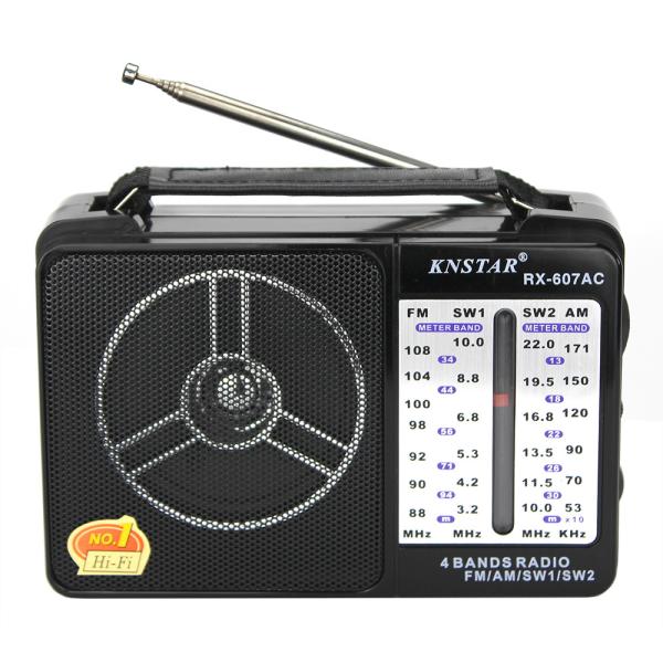 Portable AM/FM Radio with Built In Speaker for Outdoor Use