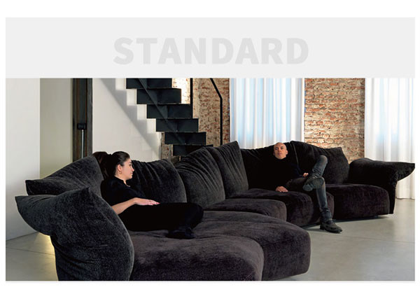 Pequeños sofás seccionales de 120 pulgadas con la estrella de Chaise Lounge Leather Home Adjustable