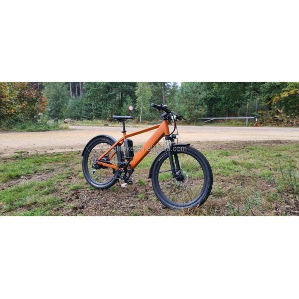 1000W 48V 14AH hidden battery hidden E-MTB lcd display electric mountain bike for your 's