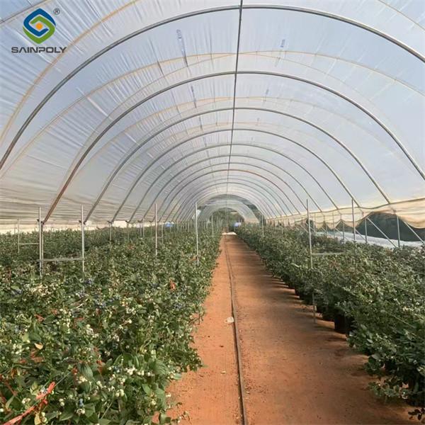 Concrete Base Custom Blueberries Greenhouse With Irrigation Fertilizer System