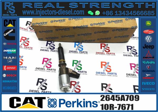 320D Diesel Common Rail Fuel Injectors 10R-7672 320-0680 For Caterpillar CAT C4.4 C6.6 Engine PERKINS 2645A747