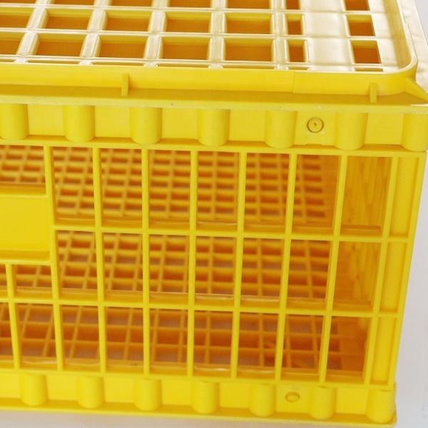 10 Chicken Plastic 12.25 Inches Detachable Poultry Transport Cage