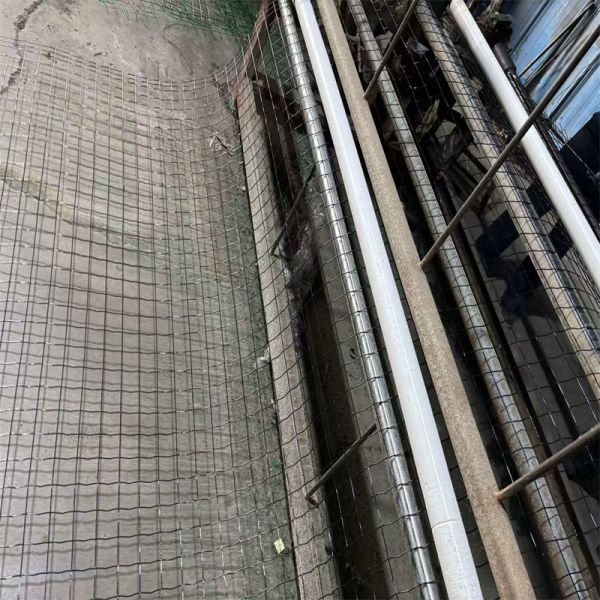 Galvanized Corrosion Resistance Welded Wire Mesh Rolls for Farm Fence PVC Coated Welded Wire Mesh Roll