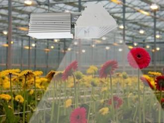 Deep Penetration Indoor Grow Lights , B281 Plus 630W MH Grow Lights For Indoor Plants