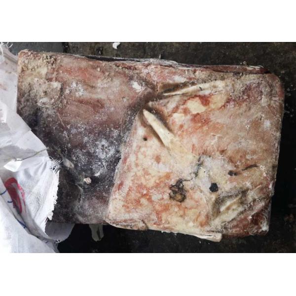 Brc Equator Squid Wing Catching Area: Pacific Ocean Fao 87 1000g Up Size